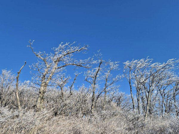 Collagène marin : 5 résultats avant-après pour votre peau