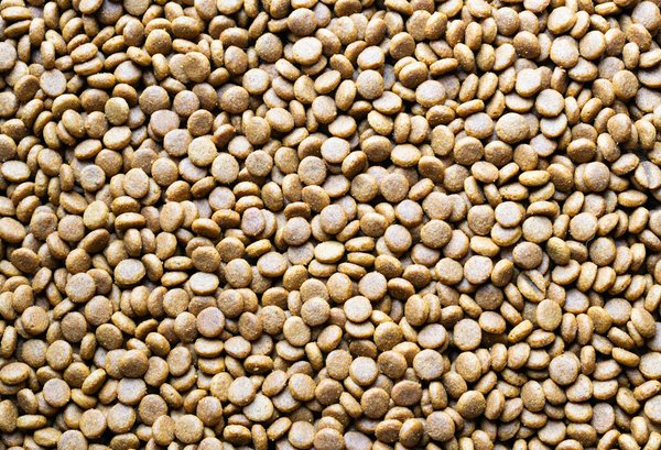 Les lunettes et les lentilles : un aperçu par un ophtalmologue